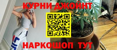 крисы Будённовск