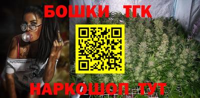 крисы Будённовск