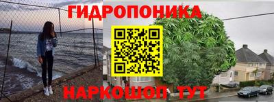 крисы Будённовск
