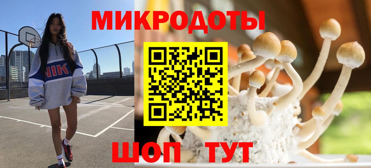 Псилоцибиновые грибы Cubensis Мончегорск