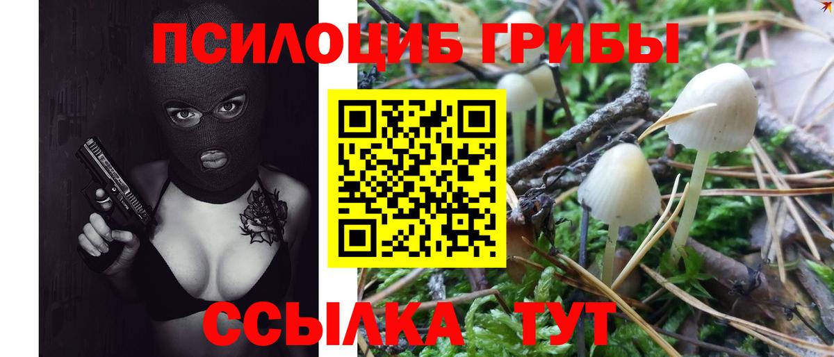 Псилоцибиновые грибы Psilocybe  Вход с VPN  Мончегорск 